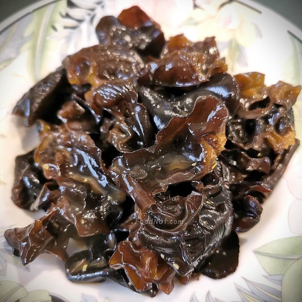 urc2023032601 tinified