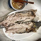 蒸澳洲烏頭魚 蒸澳洲烏頭魚