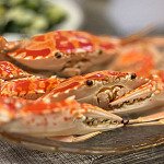 今日煮意 (#269) 潮州凍蟹