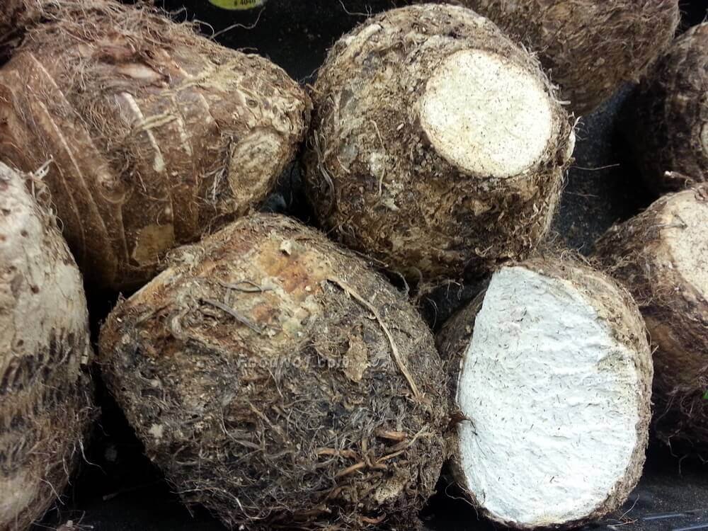 urc2013010901 tinified