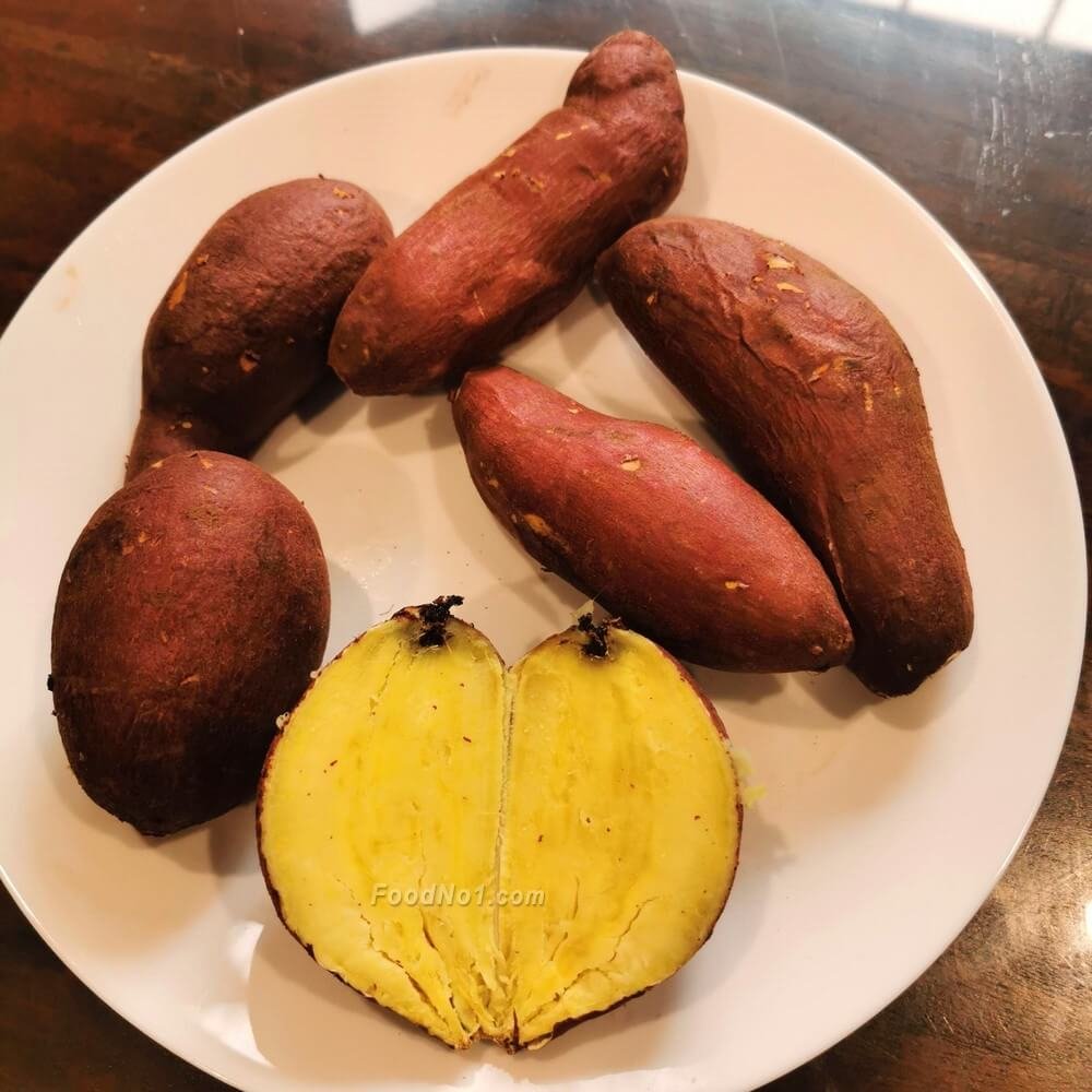 urc2024050502 tinified