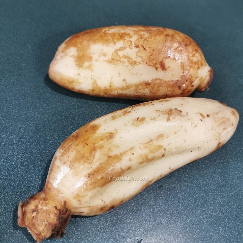 urc2024070206 tinified