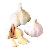 ex19990922db01.jpg (12641 bytes)