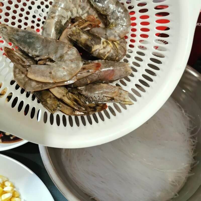 tor2022081609 large tinified