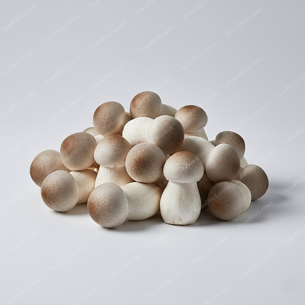 草菇 Straw Mushroom
