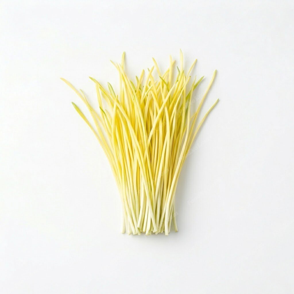 韭黃 yellow-chives