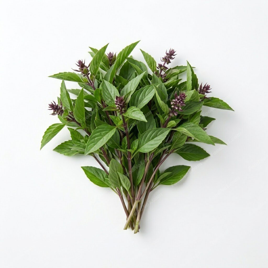 九層塔 thai-basil
