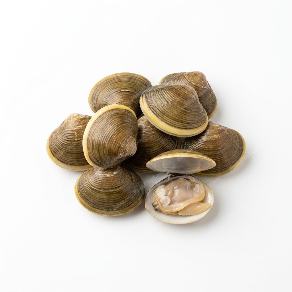 蜆 asian-clams