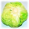 food-cabbage.jpg (13884 bytes)