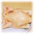 food-chicken.jpg (19346 bytes)