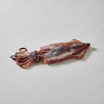 墨魚（乾） dried cuttlefish
