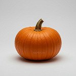 南瓜 Pumpkin