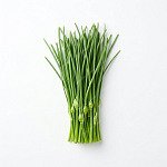 蒜苗 garlic-sprout