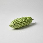 苦瓜 Bitter melon