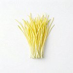 韭黃 yellow-chives