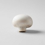 蘑菇 Mushroom