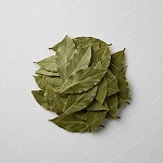 香葉 Bay Leaf