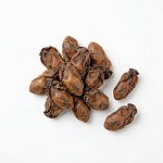 乾蠔 dried-oyster
