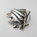 沙甸魚 Sardines