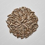 葵花籽 Sunflower seeds