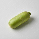 青蘿蔔 Green Radish