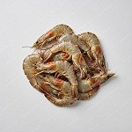 斑節蝦 tiger prawn