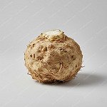 芹菜頭 Celery Root