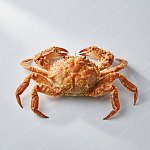 軟殼蟹 soft shell crab