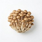 秀珍菇 shimeji-mushroom