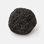 黑松露（醬／片） black-truffle