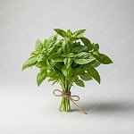 羅勒葉 Basil
