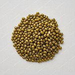 綠豆 Mung Bean