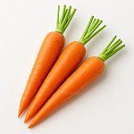 紅蘿蔔 Carrot