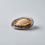 鮮鮑（9孔或澳鮑） fresh abalone