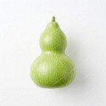蒲瓜 bottle-gourd