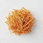 蟲草花 cordyceps-flower