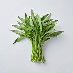 通菜 Water spinach