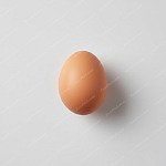雞蛋 Egg