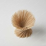 蕎麥麵 Buckwheat noodles