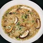 urc2024071507 tinified