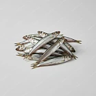 多春魚 capelin
