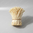 金針菇 Enoki Mushroom