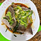 薑蔥蒸澳洲大不知名大石斑尾