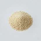 白芝麻 White Sesame