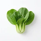 上海青 shanghai-bok-choy