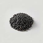 黑豆 Black Bean