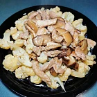 urc2024083101 tinified