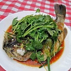 urc22090502 tinified