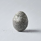 鹹蛋 Salted egg