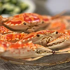 ps2024061601 tinified